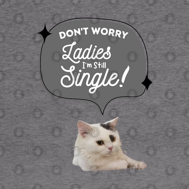 don't worry, i am still single by always.lazy